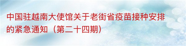 中国驻越南大使馆关于老街省疫苗接种安排的紧急通知（第二十四期）
