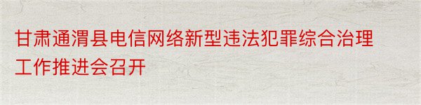 甘肃通渭县电信网络新型违法犯罪综合治理工作推进会召开