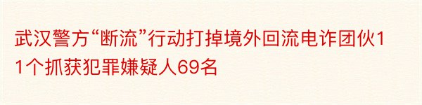 武汉警方“断流”行动打掉境外回流电诈团伙11个抓获犯罪嫌疑人69名